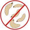 Maggot Control Sydenham